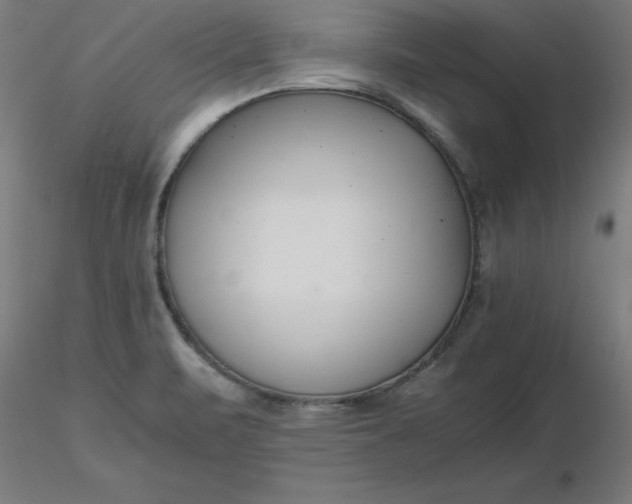 X0000116661471200912291627