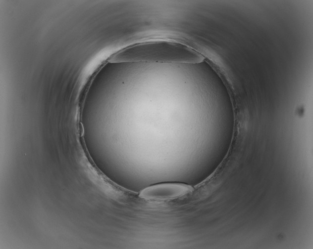 X0000116661472200912291627