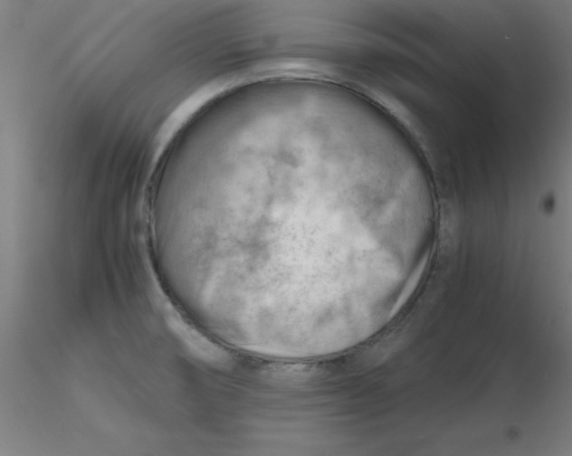 X0000116661474200912291627