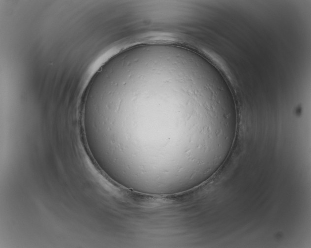 X0000116661475200912291627