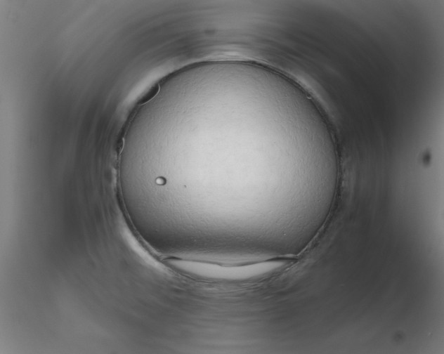 X0000116661476200912291627