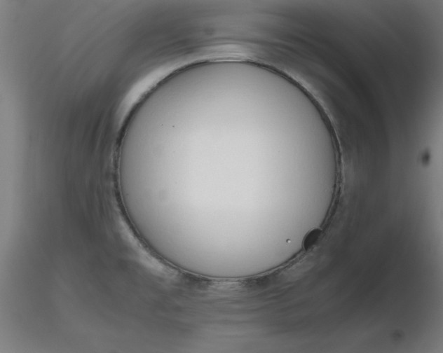 X0000116661477200912291627