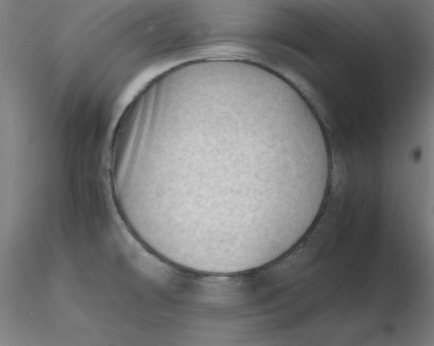 X0000116661478200912291627