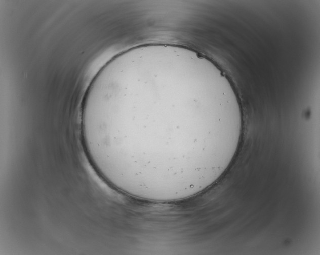 X0000116661479200912291627