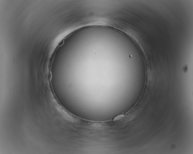 X0000116661480200912291627