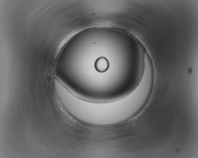 X0000116661481200912291627