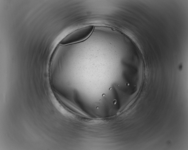 X0000116661482200912291627