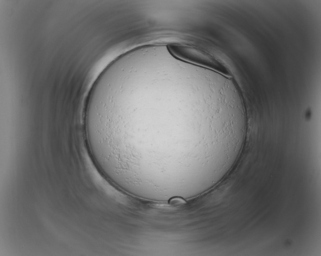 X0000116661483200912291627