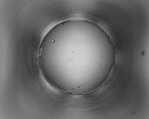 X0000116661484200912291627