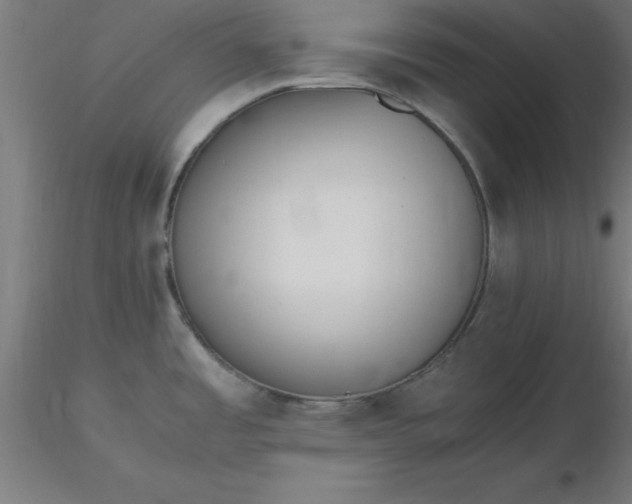 X0000116661485200912291627