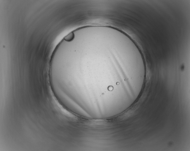 X0000116661486200912291627