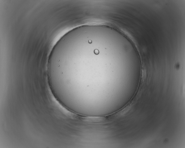 X0000116661487200912291627