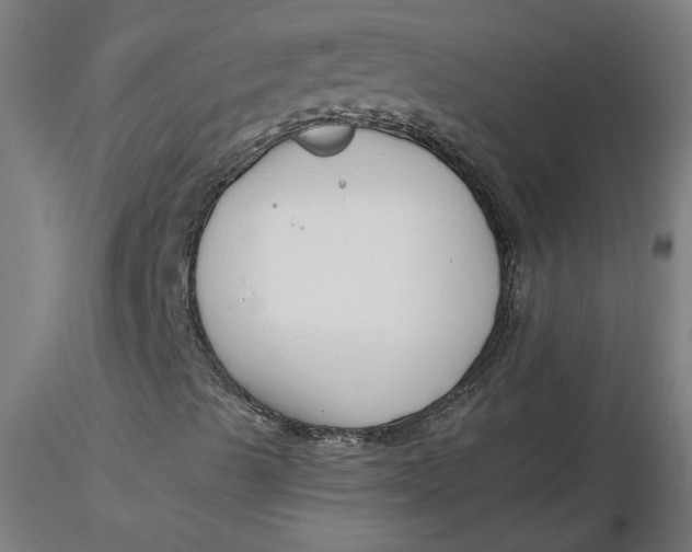 X0000116661489200912291626