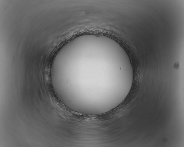 X0000116661490200912291626