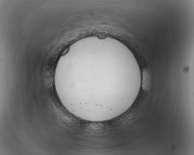 X0000116661491200912291626