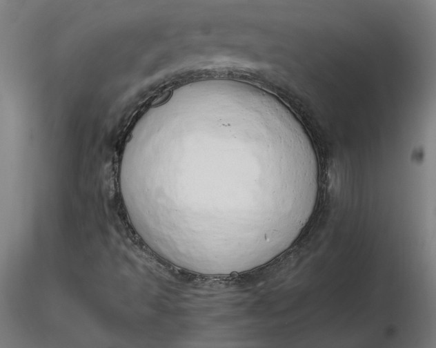 X0000116661493200912291626