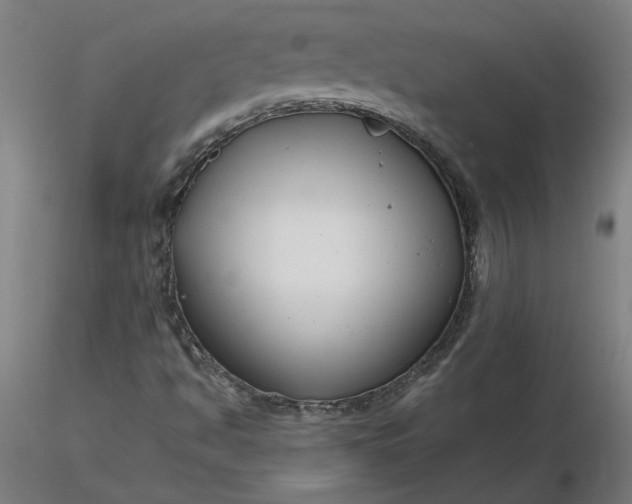 X0000116661494200912291626