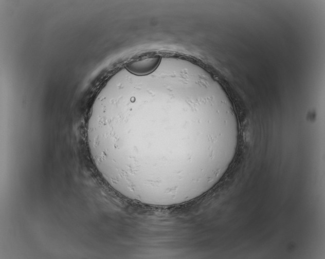 X0000116661495200912291626