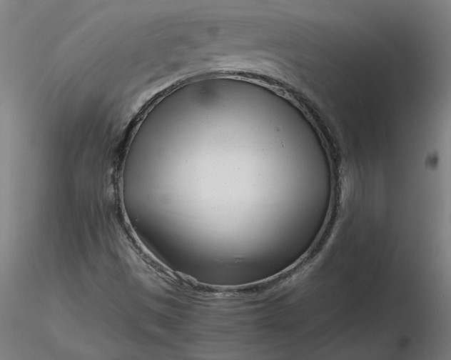 X0000116661497200912291626