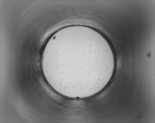 X0000116661498200912291626