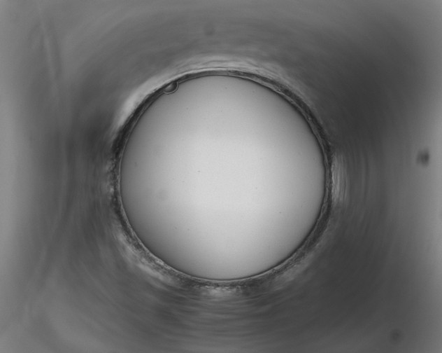 X0000116661501200912291626