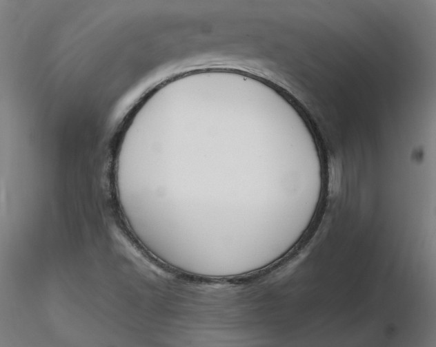 X0000116661502200912291626