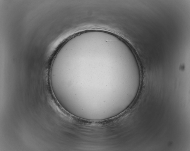 X0000116661503200912291626