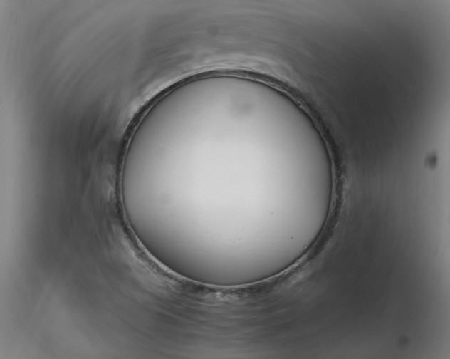 X0000116661505200912291626