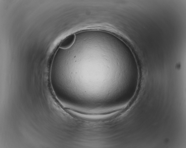 X0000116661506200912291626