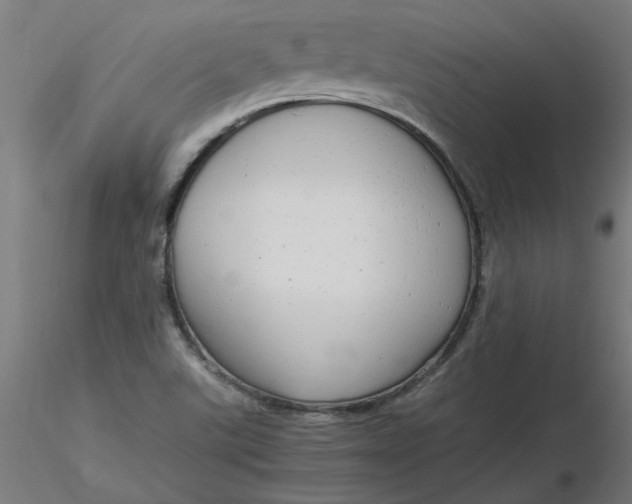 X0000116661507200912291626