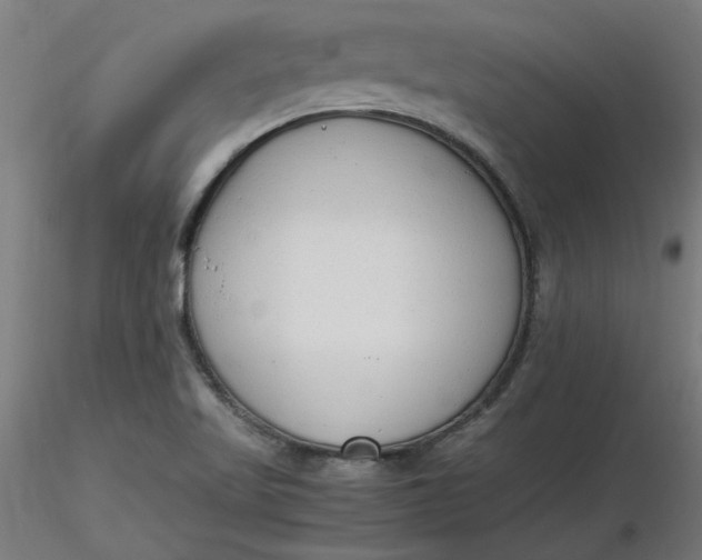 X0000116661509200912291626