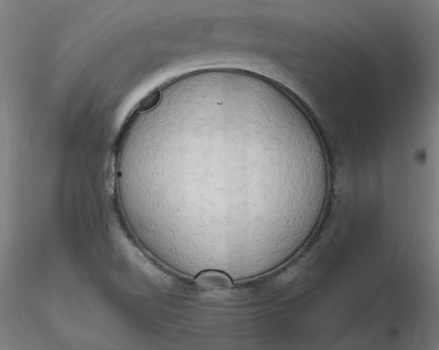 X0000116661510200912291626