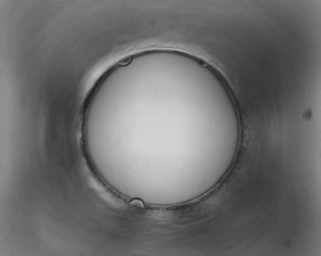 X0000116661511200912291626