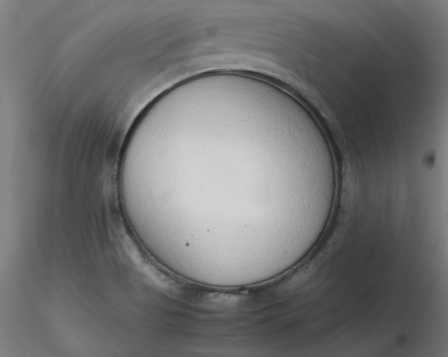 X0000116661513200912291626