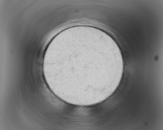 X0000116661514200912291626