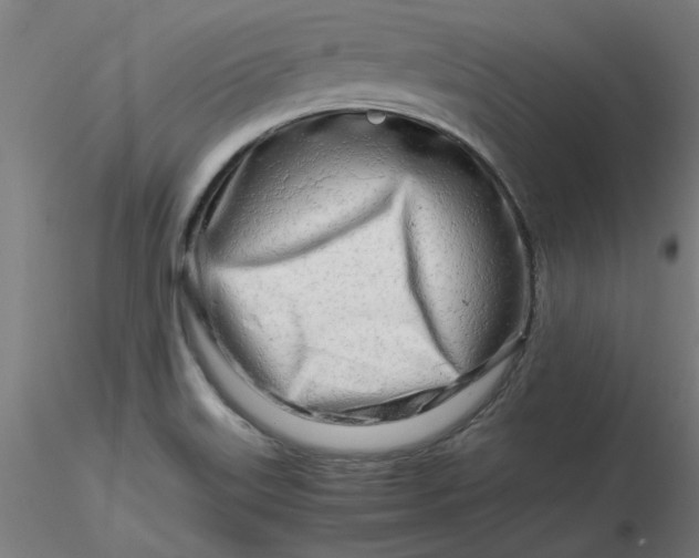 X0000116661515200912291626