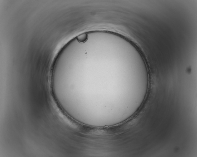 X0000116661517200912291626