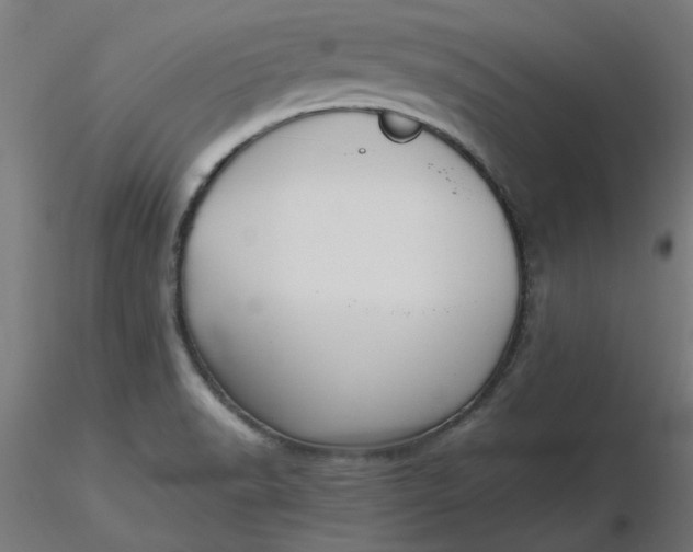 X0000116661518200912291627