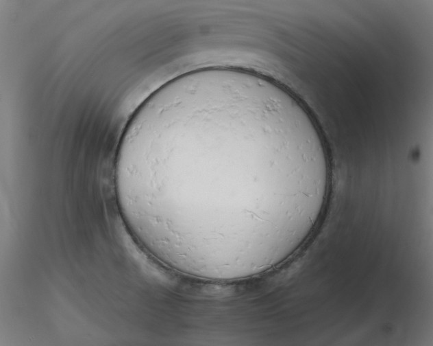 X0000116661521200912291627