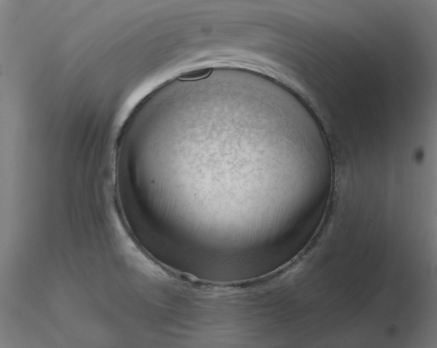 X0000116661522200912291627