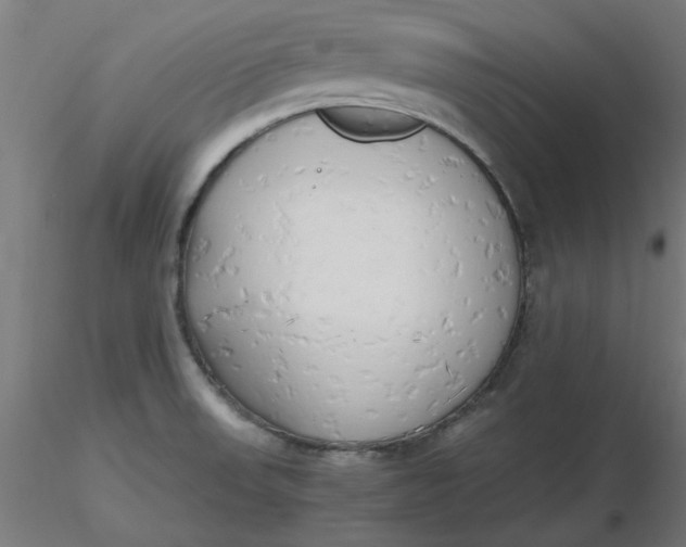 X0000116661523200912291627