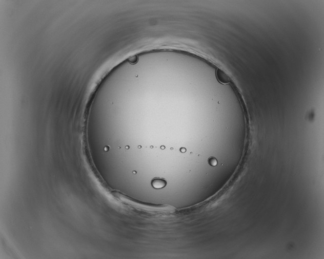 X0000116661525200912291627