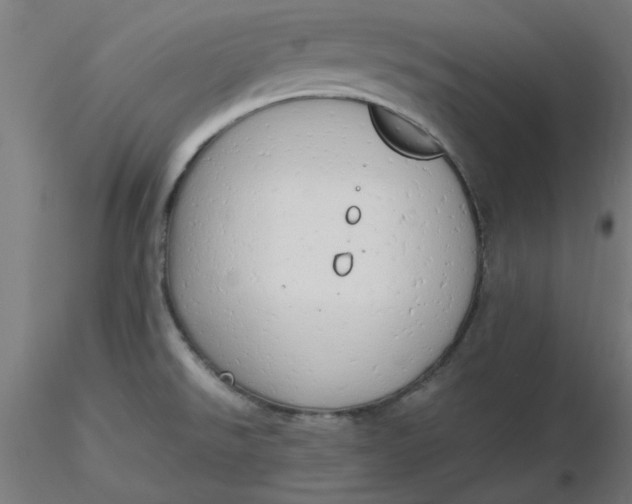 X0000116661526200912291627