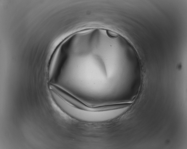 X0000116661527200912291627