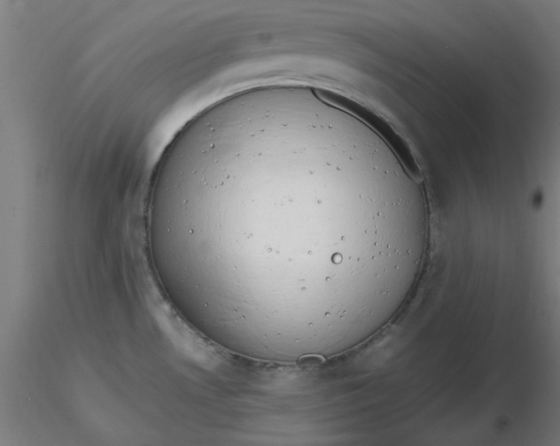 X0000116661530200912291627