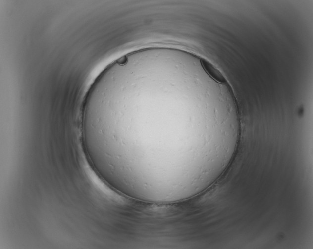 X0000116661531200912291627