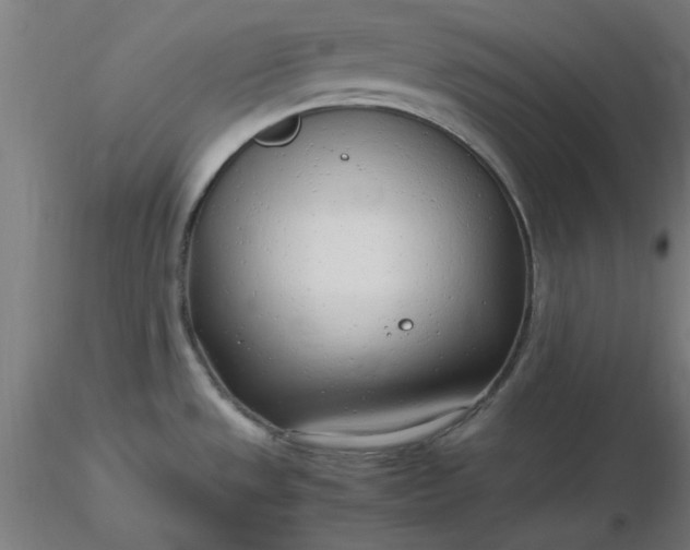 X0000116661533200912291627