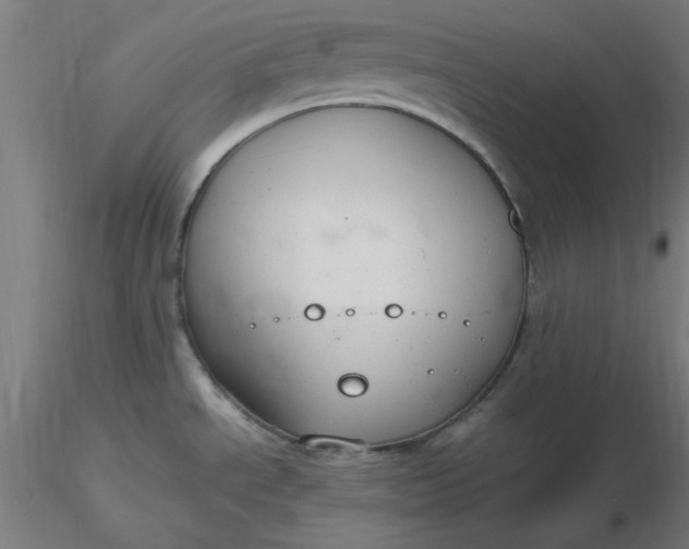 X0000116661534200912291627