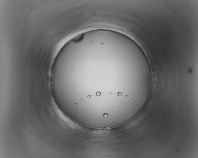 X0000116661535200912291627