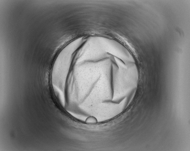 X0000116660010201001041119